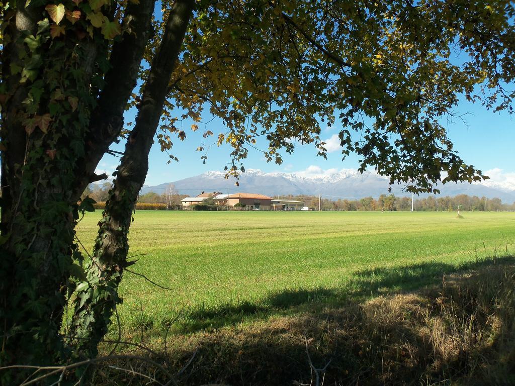 Fattoria Delle Rose Vila Salussola Exterior foto