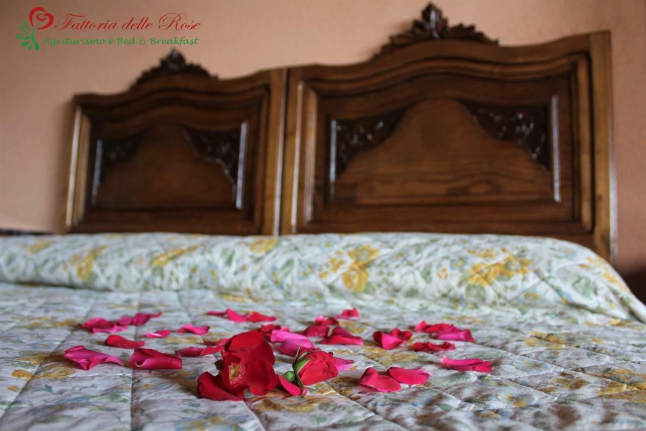 Fattoria Delle Rose Vila Salussola Exterior foto