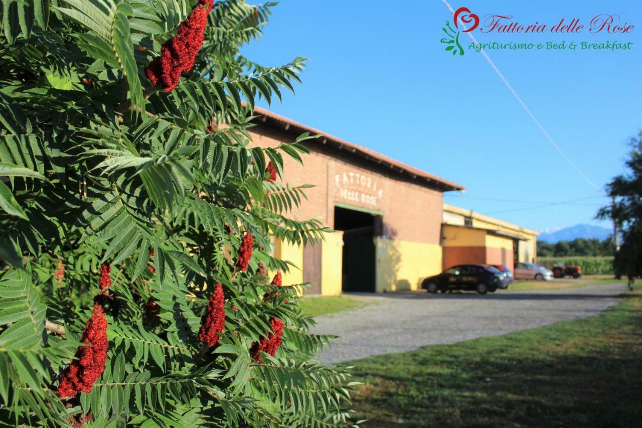 Fattoria Delle Rose Vila Salussola Exterior foto